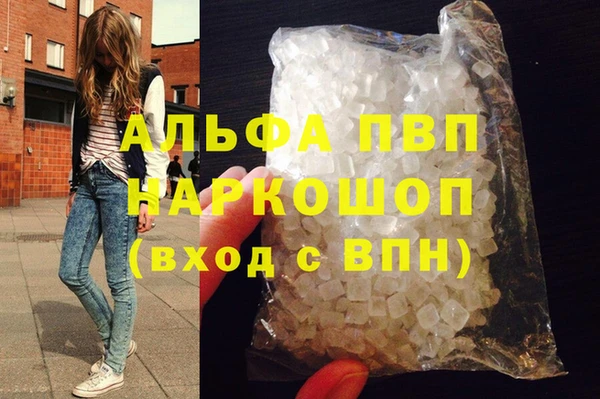 дживик Бородино