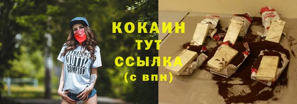 дживик Бронницы