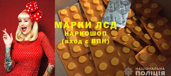 дживик Бородино