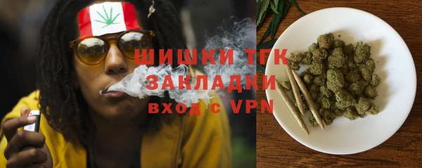 дживик Бронницы
