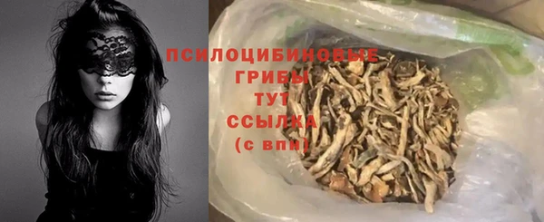 индика Медногорск