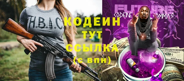 дживик Бронницы