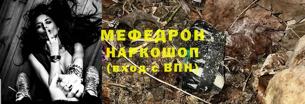 дживик Бородино