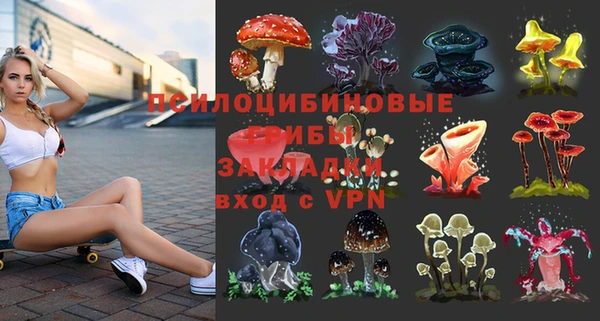дживик Бородино