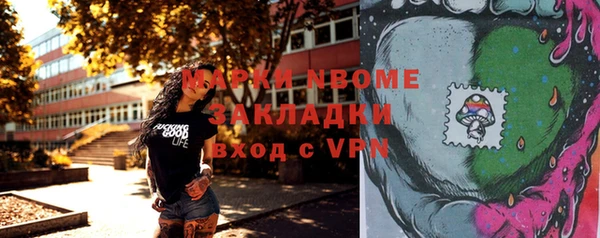 дживик Бронницы