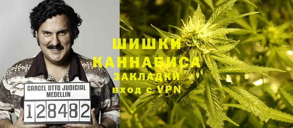дживик Бородино