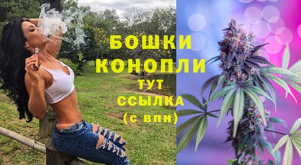 дмт Верея