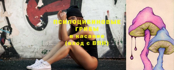 дживик Бронницы