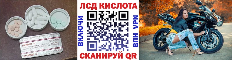 kraken как зайти  Грайворон  Лсд 25 экстази кислота  наркошоп 