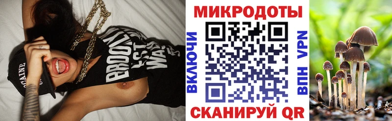 Галлюциногенные грибы MAGIC MUSHROOMS  Грайворон 